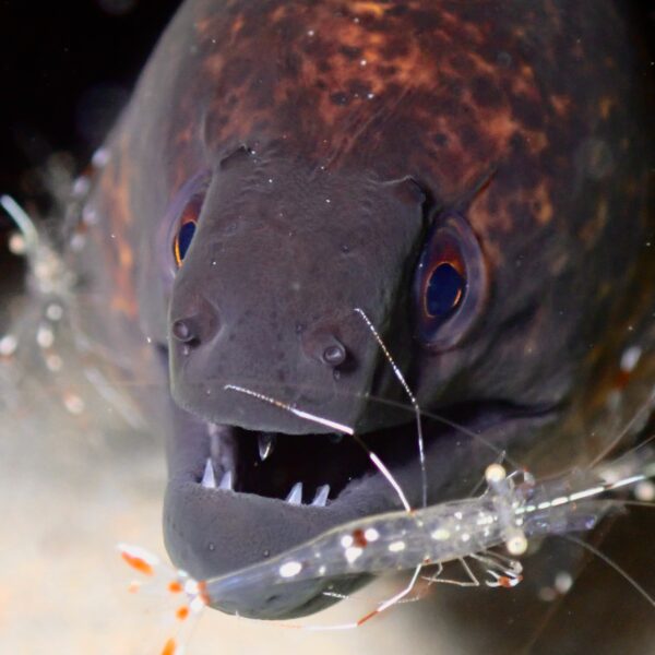 Research 研究内容の紹介