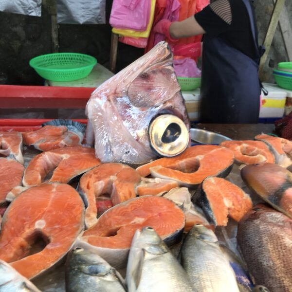 台湾魚市場紀行（調査編）