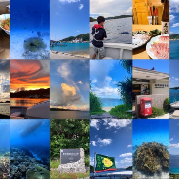 掃除魚のつぶやきvol. 11