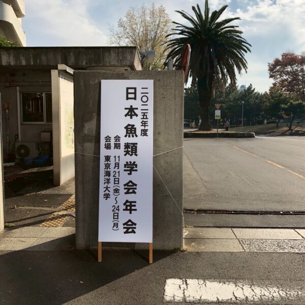 掃除魚のつぶやきvol. 14